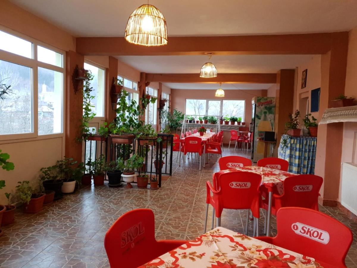 Pensiunea Lucica Sacelu Extérieur photo