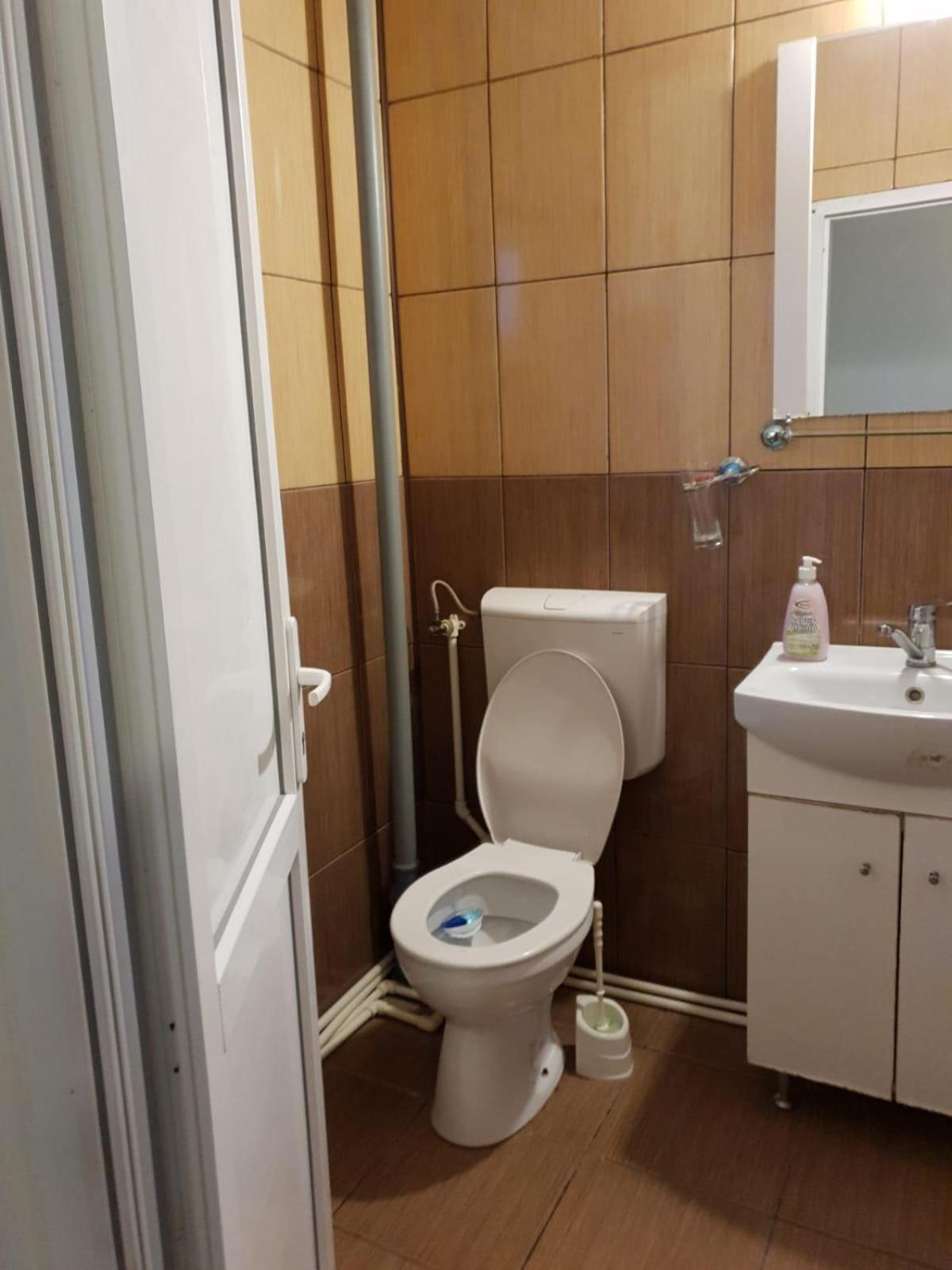 Pensiunea Lucica Sacelu Chambre photo